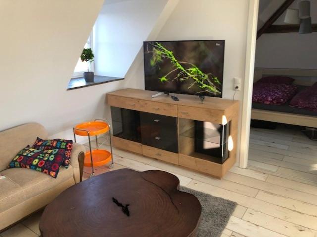 Schloss Lelkendorf Apartment Ulrichshusen Maisonette Fewo Mecklenburger Seenplatte Mit Dachterrasse Naehe Ostsee 外观 照片